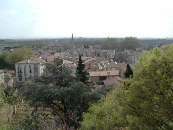 Avignon