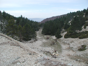 Mont Ventoux